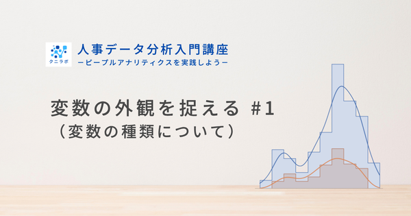 変数の外観を捉える #1 （変数の種類について）
